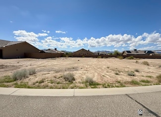 11634 Cactus St, Wellton, AZ 85356