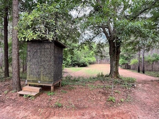 Patton Rd, Rutledge, AL 36071