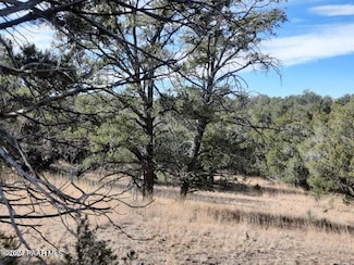 31790 W La Gatito Ln, Seligman, AZ 86337