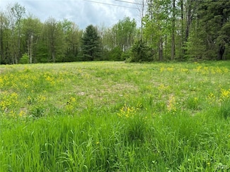 67 Jacobson Dr, Parish, NY 13131