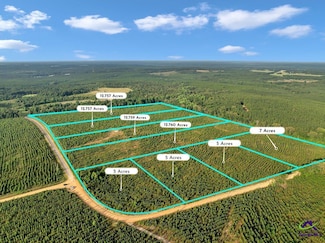 Parcel 8 Carl Rogers Rd, Reynolds, GA 31076
