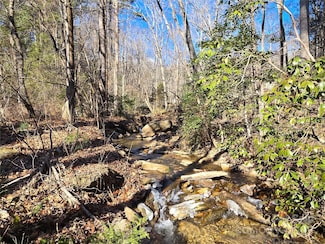 Lot 60 Chinquapin Rd, Lake Lure, NC 28746