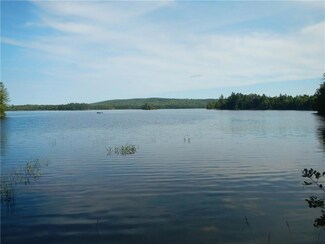 TBD Eskutassis & Spruce Point Rd, Lowell, ME 04493