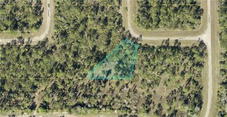 307 Nagle Ct, Lehigh Acres, FL 33972