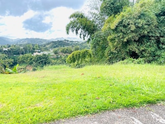 0 Carr 155 Km 30 9 Int, Orocovis, PR 00720