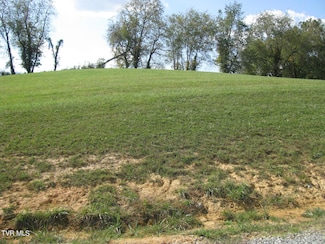 Lot 33 Vineyard Farms Pkwy, Butler, TN 37640
