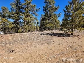 825 Frees Loop, Hartsel, CO 80449