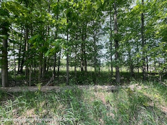13592 Forest Hill Rd, Grand Ledge, MI 48837
