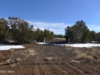 193 Lot 41 County Road 3158 Unit aka Palomino, Vernon, AZ 85940