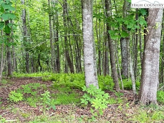 20 Twin Bridges Cir, Fleetwood, NC 28626