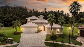32801 Estate Garden Dr, Wesley Chapel, FL 33545