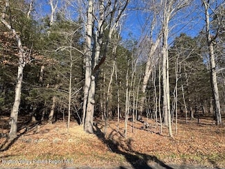 Tbd Park, Lexington, NY 12452