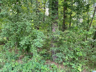0 Springhill Rd Unit Vacant, Alexander City, AL 35010