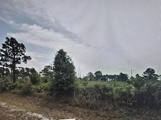 685 N Willow St, Montura, FL 33440