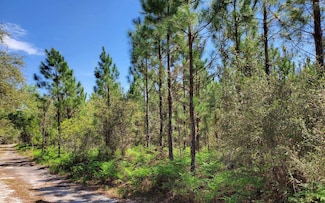 0 Gum & Bell Unit 117032, Lee, FL 32539