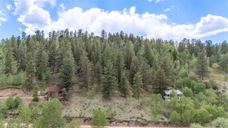 187 Ward St, Bailey, CO 80421