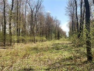 00 River Rd, Camden, NY 13316