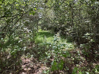 0 Highway 21 Unit 20220652, Talladega, AL 35160