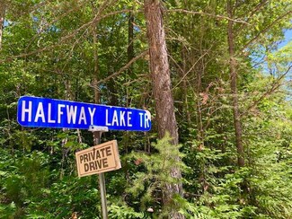 0000 Halfway Lake Rd, McMillan Township, MI 49868