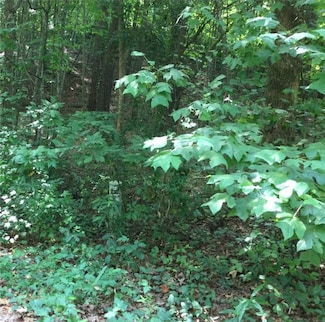 Lot 31 Den Ridge Dr, Walhalla, SC 29691