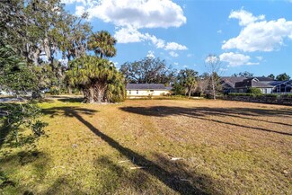TBD SE 12th St, Ocala, FL 34471