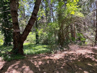 3045 Midway Ave, Pollock Pines, CA 95726