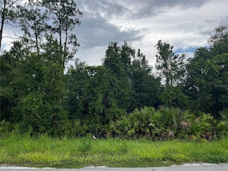 6883 Saint Johns Ave, Palatka, FL 32177