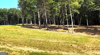 LOT #3 Ridge Dr, Morganton, GA 30560