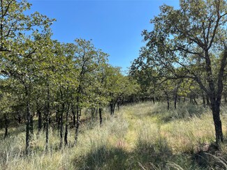 Lot 431 Bluffs Ave, Bowie, TX 76230