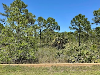 137 SE Tramonto St, Port St. Lucie, FL 34984