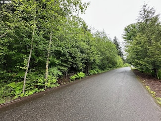 0 NE Lessard Rd Unit 605846740, Camas, WA 98607