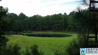 0 Coleman Rd Unit 760178, Sylacauga, AL 35150