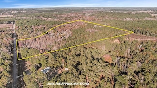 0 Gilley Mill Rd (32 Acres), Webb, AL 36376