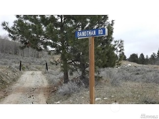 421 TBD Bandtman Rd, Tonasket, WA 98855