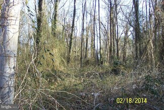 0 Piedmont Dr Unit 1002878728, Cobb Island, MD 20625