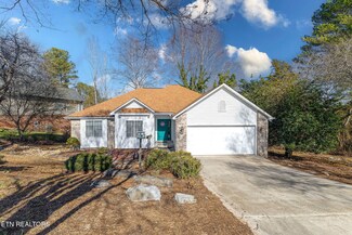 203 Tecumseh Way, Loudon, TN 37774