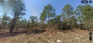 TBD SW 124th Terrace Rd, Ocala, FL 34481
