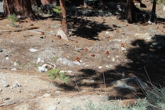 638 Piute Dr Unit 11, June Lake, CA 93529