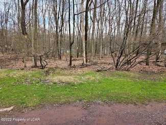 Lot 019 Spring Water Dr, Foster Township, PA 18661