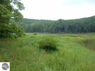 0 Satterly Lake Rd Unit 1-4 1733663, Alba, MI 49611