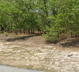 7160 N Ireland Dr, Citrus Springs, FL 34434