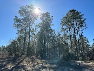 0 SW 87th Ave Unit MFRG5089935, Dunnellon, FL 34432