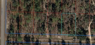 TBD NE 16 Ln, Williston Highlands, FL 32696