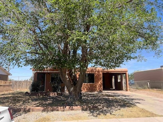 1603 Bellamah Ave, Alamogordo, NM 88310
