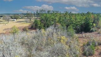 TBD Farm To Market 2819, Anderson, TX 77830