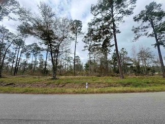 11120 Oak Forrest Ln, Beaumont, TX 77705
