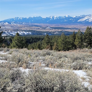Lot A Sapphire Ranch Trail, Corvallis, MT 59828