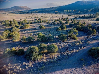 Block 10 Lot 1 Conejos Trails Rd, Conejos, CO 81120