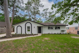 25411 Friar Lake Ln, Spring, TX 77373