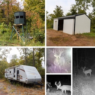 38100 Ogles Ridge Rd, Dexter City, OH 45727